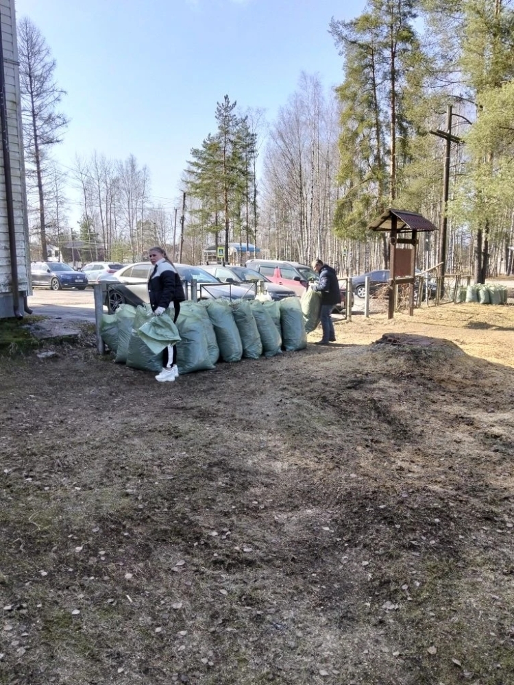 Сотрудники администрации МО «Токсовское городское поселение» провели уборку территории, прилегающей к зданию администрации..