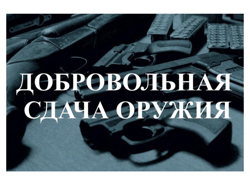 Информация о добровольной сдаче оружия.